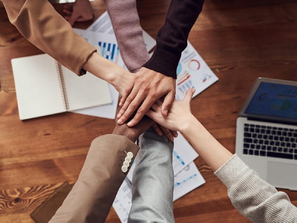 Collaborative skill development workshops for team growth